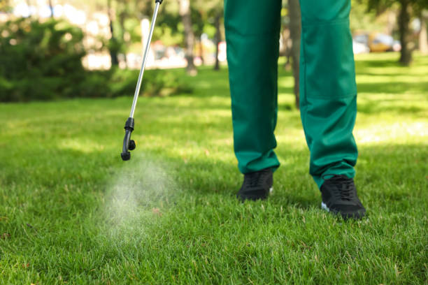 Best Emergency Pest Control  in Wilberforce, OH