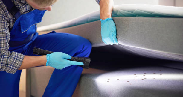 Best Mosquito Control Services  in Wilberforce, OH