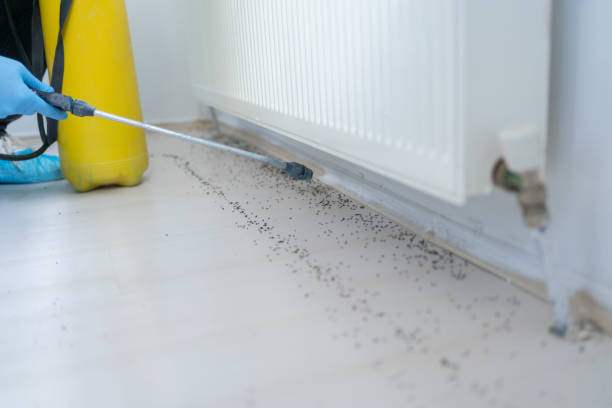 Best Residential Pest Control  in Wilberforce, OH