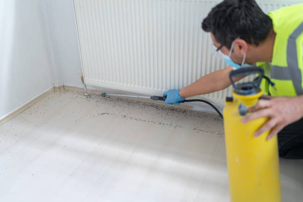 Pest Control Cost in Wilberforce, OH