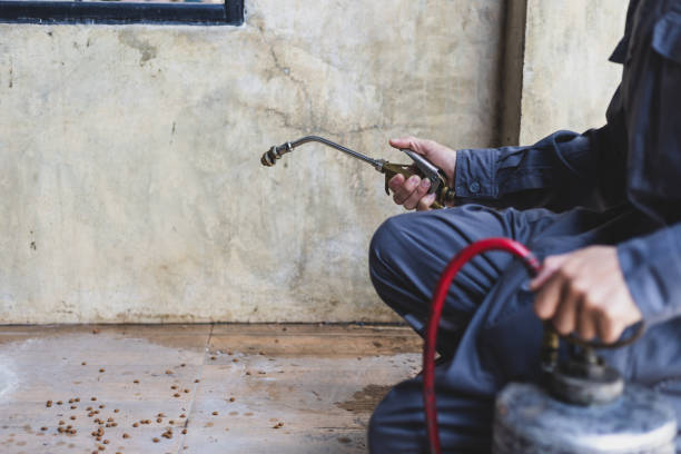 Best Affordable Pest Control Services  in Wilberforce, OH